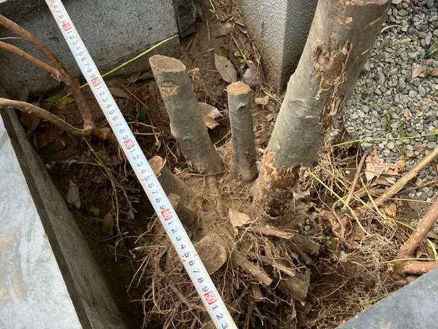 ★お庭を綺麗に！★お立ち会い無し◎アパート、お墓等対応◎対応エリア外ご相談◎★サービスの画像