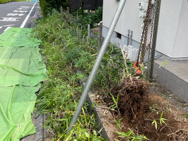 ★お庭を綺麗に！★お立ち会い無し◎アパート、お墓等対応◎対応エリア外ご相談◎★サービスの画像