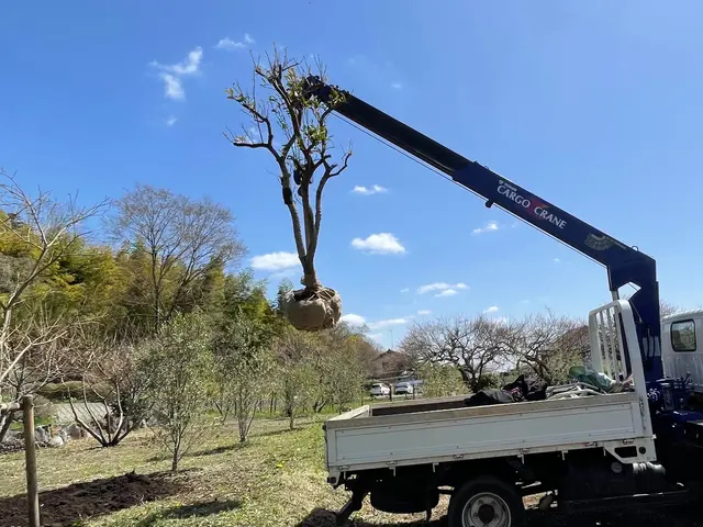 ＜女性スタッフの同行OK＞営業時間外のご予約も相談可能です◎サービスの画像