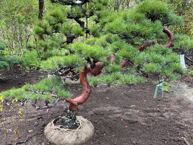 ＜女性スタッフの同行OK＞営業時間外のご予約も相談可能です◎サービスの画像