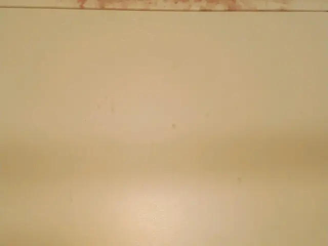 奈良県から訪問★損害保険加入★徹底仕上げ★駐車場無料サービスの画像