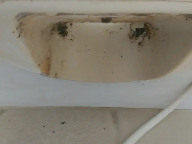 奈良県から訪問★損害保険加入★徹底仕上げ★駐車場無料サービスの画像