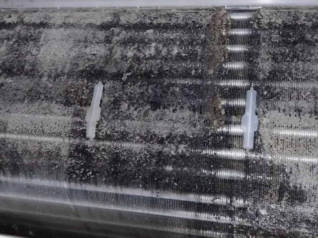 ★防カビコート無料！　①泡密着洗剤 ②抗菌消臭③防カビ→ 全部込みフルサービス！サービスの画像