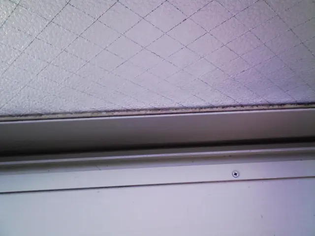 業界歴10年のベテランスタッフがお伺いします。サービスの画像