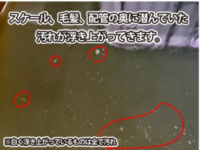 浴室追い焚き配管除菌洗浄サービスの画像