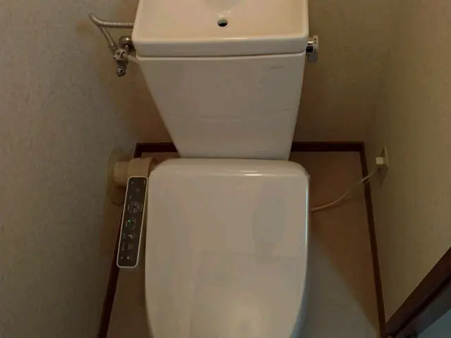 【自動洗浄ユニット対応可】タンクレストイレ水漏れ修理対応可【アラウーノは要相談】サービスの画像