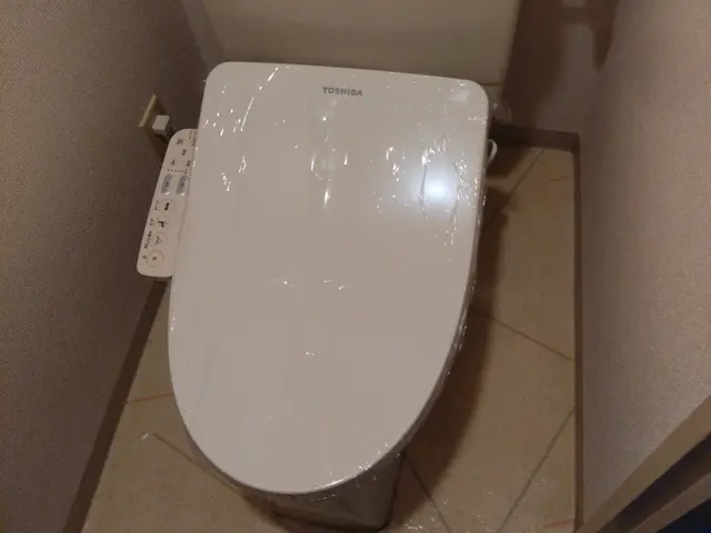 【自動洗浄ユニット対応可】タンクレストイレ水漏れ修理対応可【アラウーノは要相談】サービスの画像