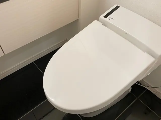 人気の水回りクリーニング / 5点（お風呂＋換気扇＋トイレ＋キッチン+洗面所）サービスの画像