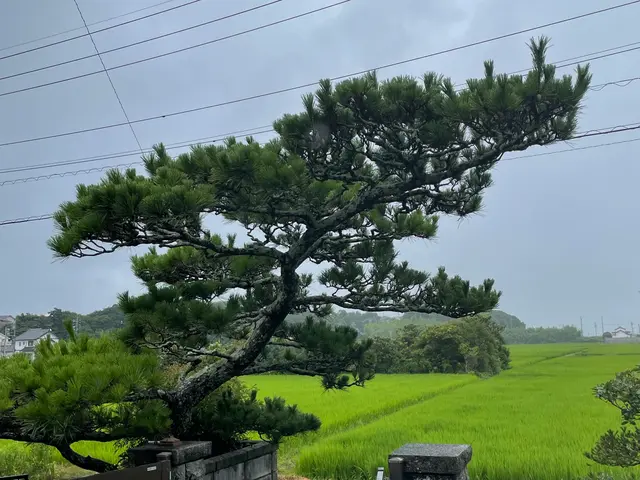 【30年以上の実績】営業時間外や対応地域外◉プロの技で美しい庭づくりをサポート！サービスの画像