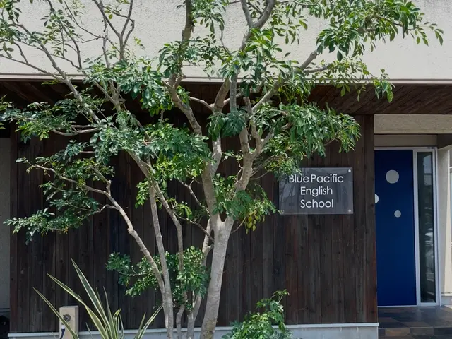 【30年以上の実績】営業時間外や対応地域外◉プロの技で美しい庭づくりをサポート！サービスの画像