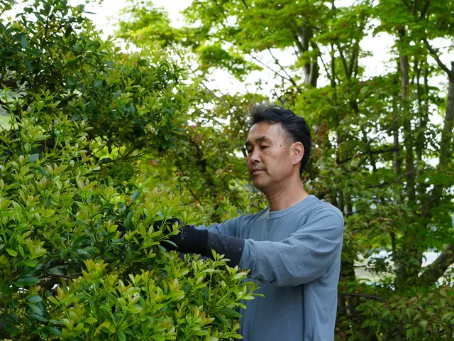 【30年以上の実績】営業時間外や対応地域外◉プロの技で美しい庭づくりをサポート！サービスの画像