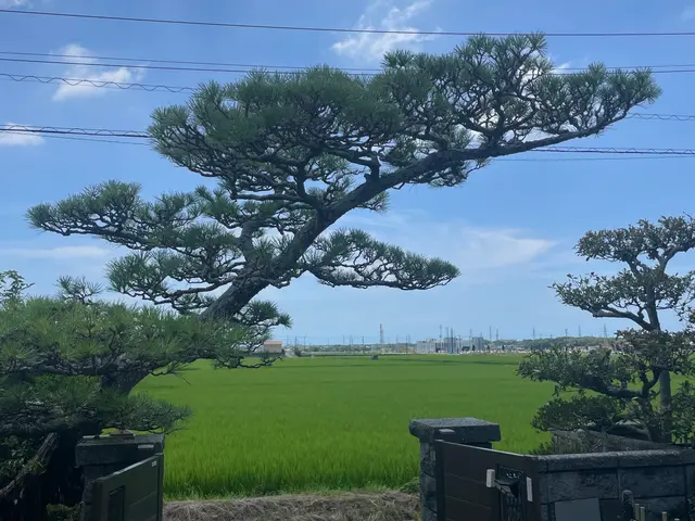 【30年以上の実績】営業時間外や対応地域外◉プロの技で美しい庭づくりをサポート！サービスの画像