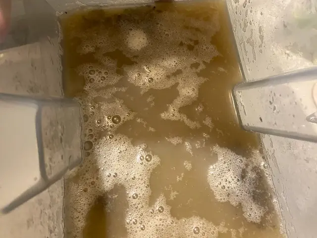 【女性スタッフ同行可】ソファクリーニング！お気軽にご相談下さい！サービスの画像