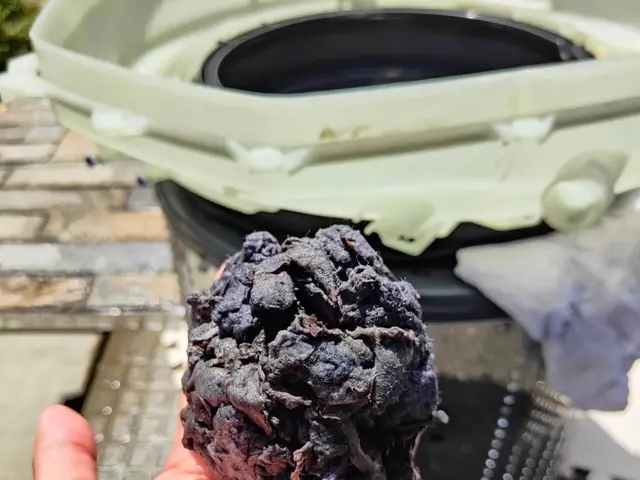 ☆年中無休　☆女性スタッフ対応可能　カビや嫌な匂い対策に！サービスの画像