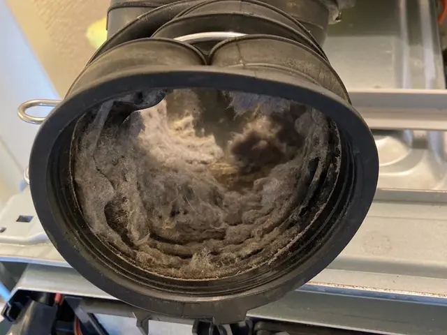 ☆年中無休　☆女性スタッフ対応可能　カビや嫌な匂い対策に！サービスの画像