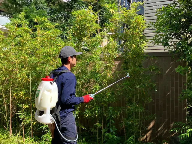 10年以上の経験◎【造園技能士１級】お庭のお悩みなど、お気軽にお声掛け下さいサービスの画像