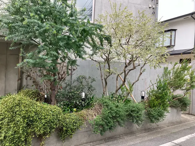 10年以上の経験◎【造園技能士１級】お庭のお悩みなど、お気軽にお声掛け下さいサービスの画像