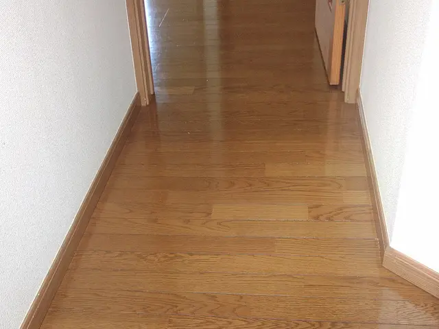 ただいまお掃除キャンペーン中です！！是非お得な時にご利用くださいサービスの画像