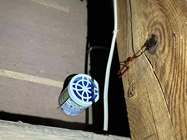 ネズミ駆除、対策まで！　丁寧に施工致します◎サービスの画像