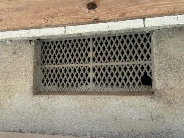 ネズミ駆除、対策まで！　丁寧に施工致します◎サービスの画像