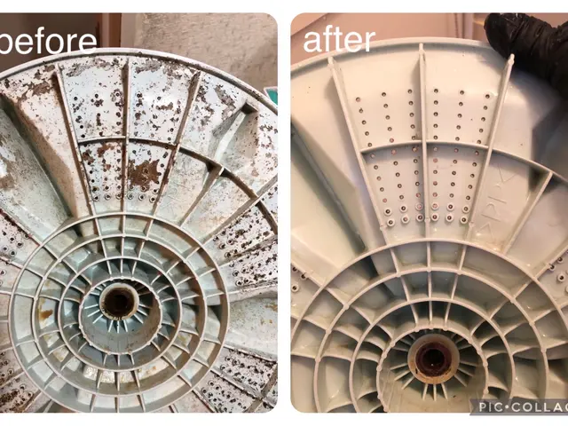 洗濯槽の裏に溜まったカビ・水垢は当店にお任せあれ！迅速丁寧に仕上げますサービスの画像