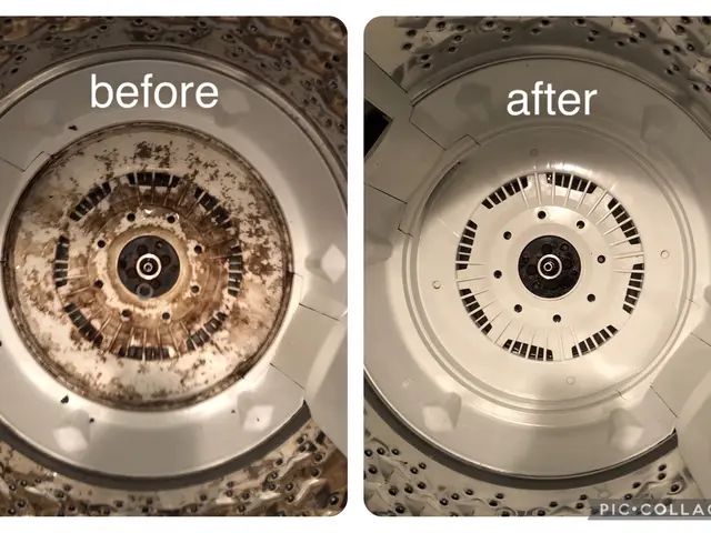 洗濯槽の裏に溜まったカビ・水垢は当店にお任せあれ！迅速丁寧に仕上げますサービスの画像