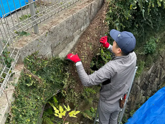 草木や建物を傷めない、将来管理まで考えた蔦除去|除草剤対応可・女性スタッフ同行可サービスの画像