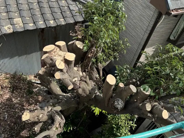 作業外注一切なし！経験豊富な職人が施工！お庭でお困りのことはお任せください！サービスの画像