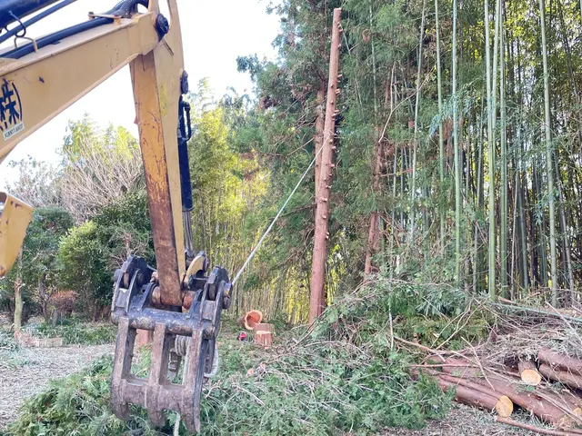 損害補償加入済▼安心と信頼の実績500件以上▼20m以上の高木も対応しておりますサービスの画像
