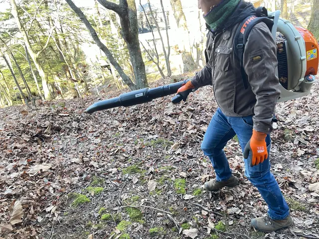 損害補償加入済▼安心と信頼の実績500件以上▼20m以上の高木も対応しておりますサービスの画像