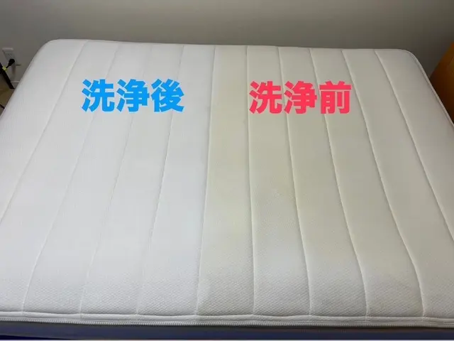 《関西・非喫煙》安心・安全な憩いの空間を提供します！ぜひ当店にお任せ下さい！サービスの画像