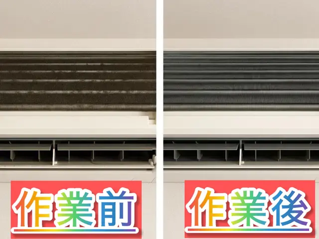 24時間対応可】カビをガツンと一掃！★夕方から可能★当日相談◎★サービスの画像