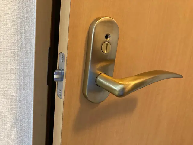 室内ドアノブ、ドアレバー交換サービスの画像