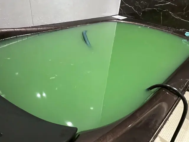 豊富な経験と知識で安心！仕上がり重視で丁寧に作業いたします！サービスの画像