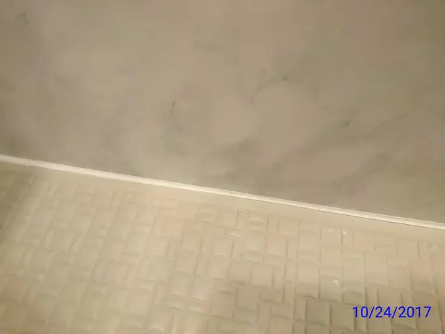 カビのスペシャリスト◆女性派遣可◎カビ特殊コート◎作業後空気感が全く違いますサービスの画像