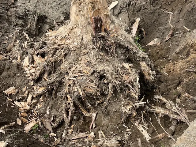 【☆作業外注一切なし☆】お気軽にご相談ください！！サービスの画像