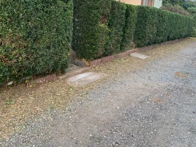 《土日祝のご予約歓迎！》近隣の方々にご迷惑にならないよう対応しますサービスの画像