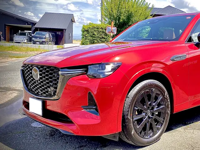 預かり徹底洗車　出張手洗い洗車　お客様のニーズに合わせた洗車をさせて頂きます！サービスの画像