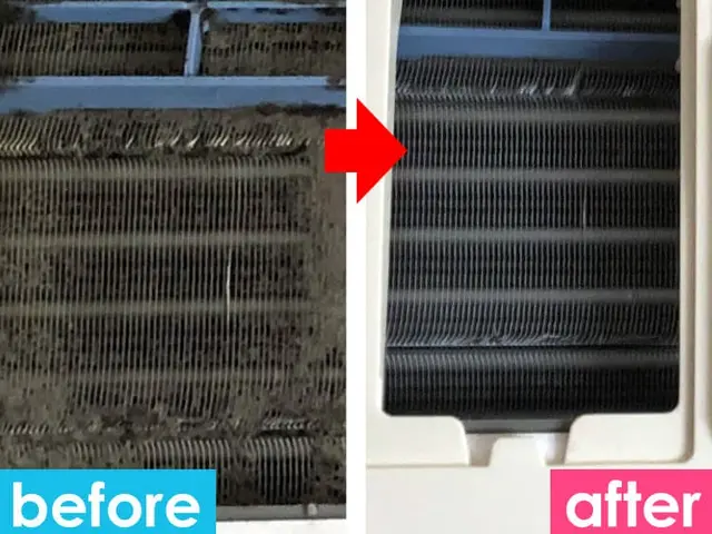 コロナ対策万全！赤ちゃん＊ペット安心！親切丁寧に作業を致します！3000件突破◆サービスの画像