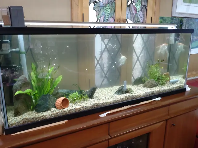 【海水・大型・特殊水槽も対応可能】新規出店記念！料金10％OFF（3/24まで）サービスの画像