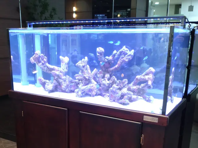 【海水・大型・特殊水槽も対応可能】新規出店記念！料金10％OFF（3/24まで）サービスの画像