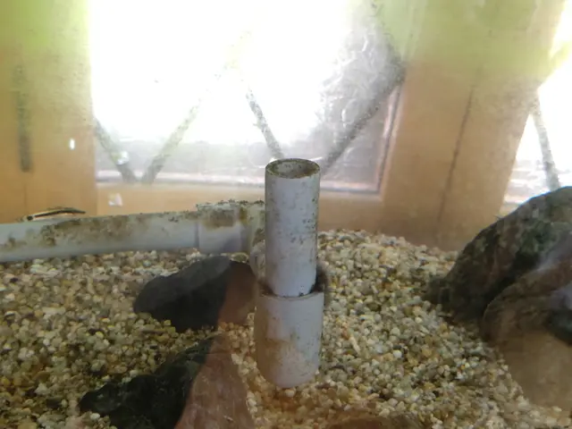 【海水・大型・特殊水槽も対応可能】新規出店記念！料金10％OFF（3/24まで）サービスの画像