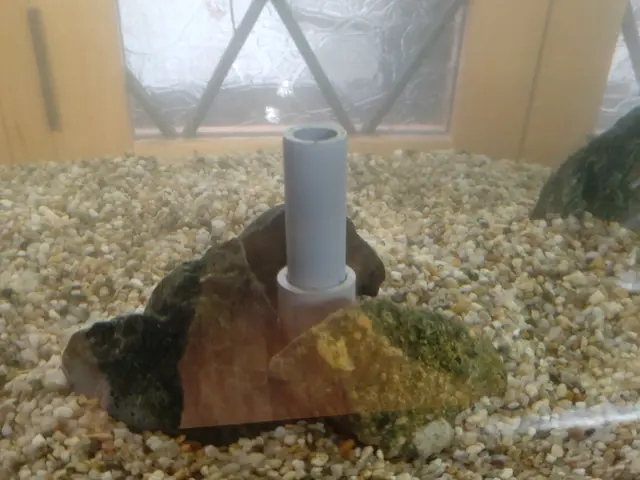 【海水・大型・特殊水槽も対応可能】新規出店記念！料金10％OFF（3/24まで）サービスの画像