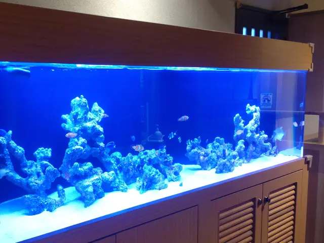 【海水・大型・特殊水槽も対応可能】新規出店記念！料金10％OFF（3/24まで）サービスの画像