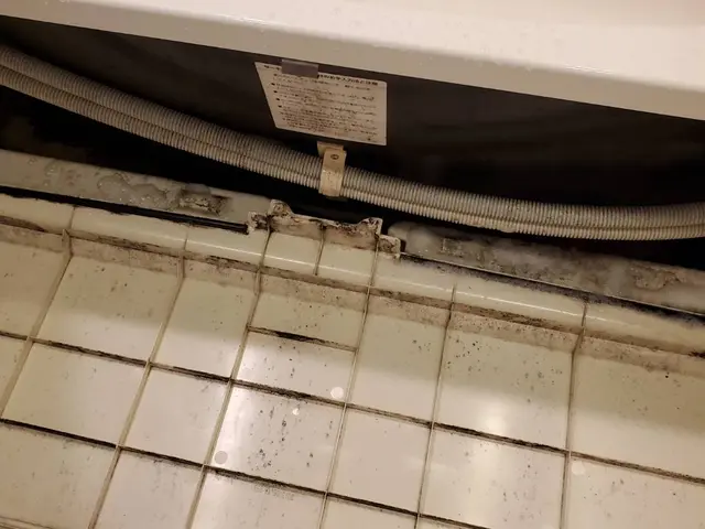 ◆お掃除片付けが大好きな店長の私がお伺いします◎経験豊富◎アフターフォローも万全サービスの画像