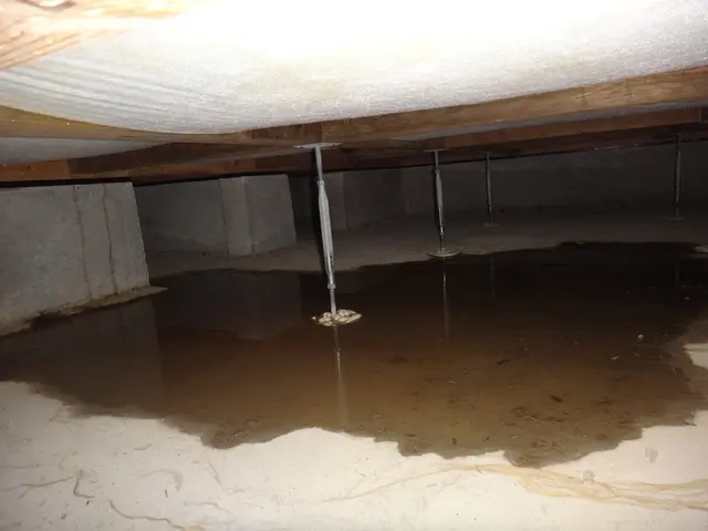 【トリプル国家資格】保有の一級建築士が丁寧に診断致します【建築士事務所協会所属】サービスの画像