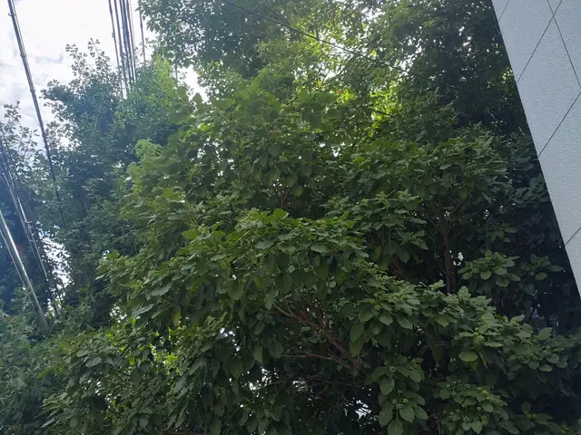 ◆職人歴33年の実績◆1級造園施工管理技士◆1級エクステリアプランナーサービスの画像