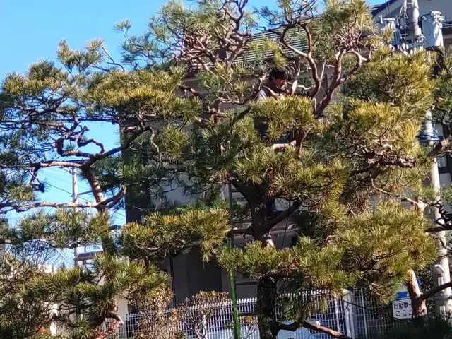 ◆職人歴33年の実績◆1級造園施工管理技士◆1級エクステリアプランナーサービスの画像