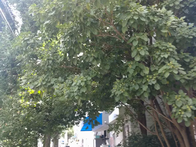 ◆職人歴33年の実績◆1級造園施工管理技士◆1級エクステリアプランナーサービスの画像