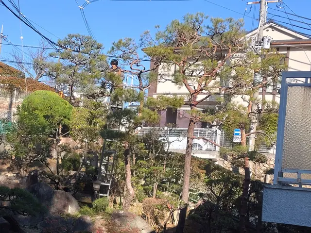 ◆職人歴33年の実績◆1級造園施工管理技士◆1級エクステリアプランナーサービスの画像